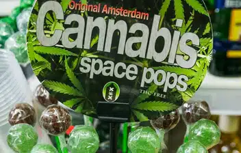 Cannabis space pops displayed in a retail setting, featuring green and brown lollipops with a sign highlighting "Original Amsterdam" and cannabis-themed design, relevant to cannabis product liability insurance.