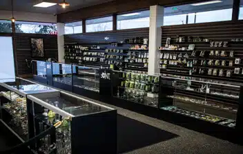 Cannabis insurance brochure by OG Cannabis Insurance, highlighting coverage options for dispensaries and cultivation.