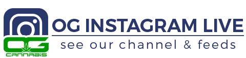 og cannabis insurance instagram page